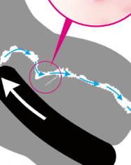 すじまんくぱぁ ココロ - 画像 (3)